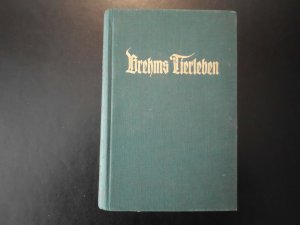 antiquarisches Buch – Adolf Meyer – Brehms Tierleben, Band 3 - Säugetiere: Katzenartige Raubtiere