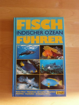 Fischführer Indischer Ozean