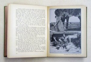 Die Heiterethei. Erzählung aus dem Thüringer Volksleben. Mit Bildern von Ernst Liebermann.