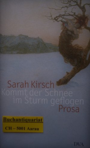 Kommt der Schnee im Sturm geflogen - Prosa