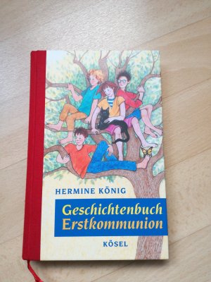 gebrauchtes Buch – Hermine König – Geschichtenbuch Erstkommunion