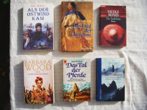 Konvolut mit sechs Bücher (Paket Literatur mit historischem Kontext): 1. Als der Ostwind kam ; 2. Das Lied der Cheyenne - Roman ; 3. Die Prüfung - oder […]