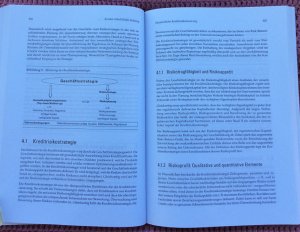 gebrauchtes Buch – Dr. Oliver Everling & Samuel S – Bankrisikomanagement • Mindestanforderungen, Instrumente und Strategien für Banken • MaRisk, Banken- und Kapitaladäquanzrichtlinie fordern die Beteiligten heraus
