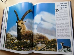 gebrauchtes Buch – Kurt Blüchel mit Heinz Sielmann und Horst Stern – Naturwunder Deutschland