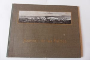 Souvenir de las Palmas