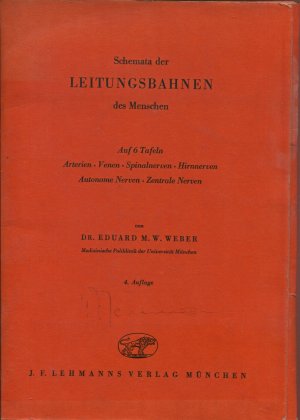 Schemata der Leitungsbahnen des Menschen auf 6 Tafeln