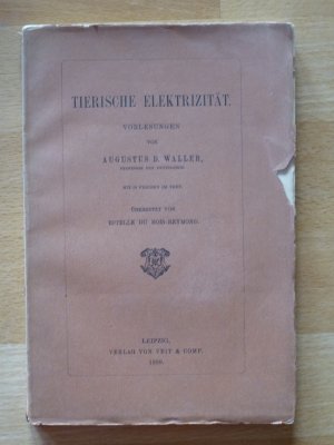 antiquarisches Buch – Augustus Waller – Tierische Elektrizität. Mit 68 Figuren im Text