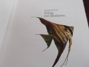 gebrauchtes Buch – Siegfried Brall – Erfolg mit Skalaren Geschichte, Hobby, Züchtung