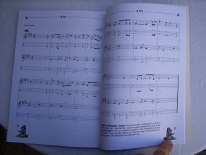 gebrauchtes Buch – Gernot Rödder – Ukulele Total (D-Stimmung) - Geschichte, Spieltechnik, Musiktheorie & mehr! Mit CD !