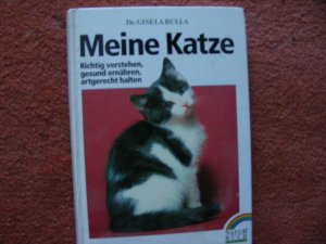 Meine Katze