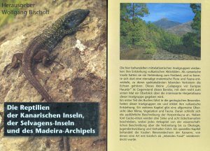 Die Reptilien der Kanarischen Inseln, der Selvagens.Inseln und des Madeira-Archipels