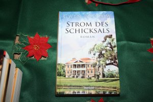 Strom des Schicksals - Louisiana-Trilogie Dritter Band (Band 3)