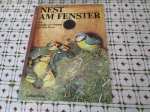 NEST AM FENSTER