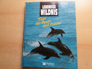 gebrauchtes Buch – Rott-Illfeld, Sybille A – Lebendige Wildnis - Tiere der Meere und Ozeane, Delphine, Buckelwale, Haie, Kraken, Aale, Korallen, Orkas, Quallen