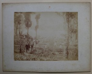 Originale Fotografie ( Vintage, Albumin) - Mexico, Rancheria en Tierra Caliente, Vera Cruz, 1869.