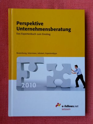 gebrauchtes Buch – Perspektive Unternehmensberatung 2010