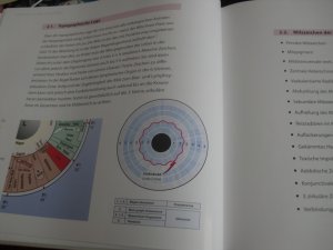 Die Milz in der Iridologie : Lehrbuch Iridologie 3