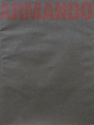 gebrauchtes Buch – Karl-Egon Vester – Armando. gebrauchtes Buch – Karl-Egon Vester – Armando.