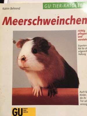 Meerschweinchen richtig pflegen und verstehen