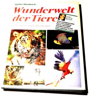 gebrauchtes Buch – Gunter Steinbach – Wunderwelt der Tiere