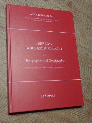 Seeberg-Burgäschisee-Süd / Topographie und Stratigraphie