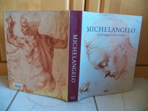 gebrauchtes Buch – Achim Gnann – Michelangelo - Zeichnungen eines Genies /286 Abbildungen, 223 farbig