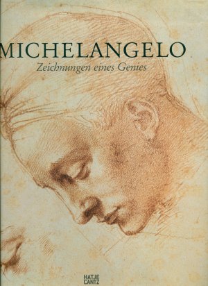 gebrauchtes Buch – Achim Gnann – Michelangelo - Zeichnungen eines Genies /286 Abbildungen, 223 farbig