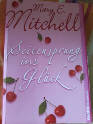 gebrauchtes Buch – Mary E. Mitchell – Seitensprung ins Glück