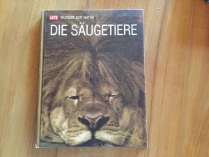 Die Säugetiere