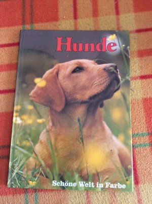 Hunde - Schöne Welt in Farbe