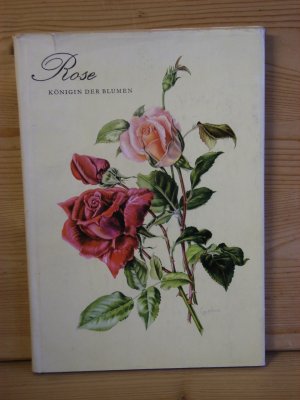 gebrauchtes Buch – diverse  – "ROSE - königin der blumen"