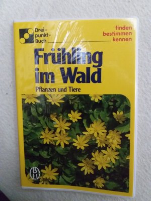 Frühling im Wald Pflanzen und Tiere