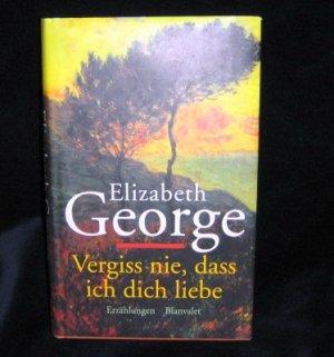 gebrauchtes Buch – Elizabeth George – Vergiss nie, dass ich dich liebe