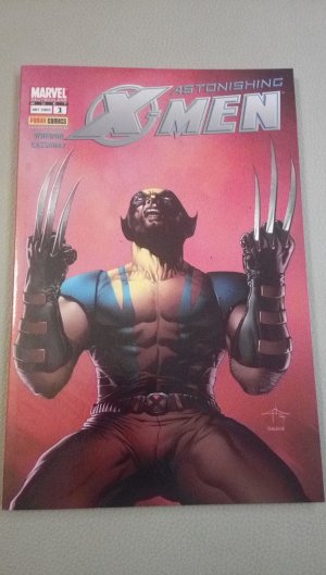 Astonishing X-Men: Bd. 1