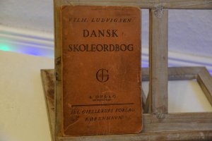 Dansk Skoleordbog: retskrivnings- og fremmedordbog