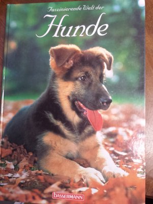 Faszinierende Welt der Hunde