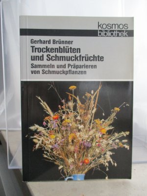 Trockenblüten und Schmuckfrüchte