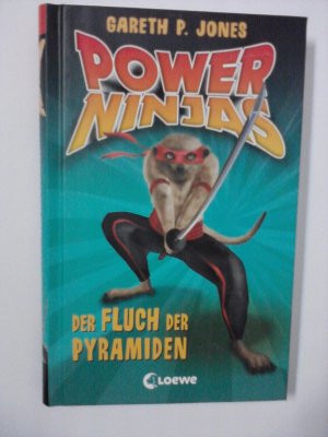 Power Ninjas - Der Fluch der Pyramiden - Band 5