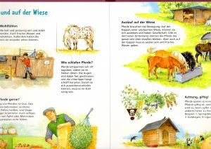 gebrauchtes Buch – Der Kinder Brockhaus - Mein erstes Wissen Pferde und Ponys