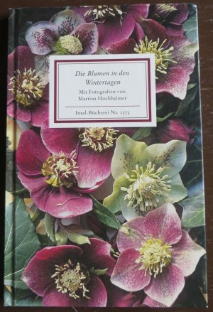 gebrauchtes Buch – Martina Hochheimer – Die Blumen in den Wintertagen - Bilder und Texte. Insel-Bücherei Nr. 1273 (NEU)