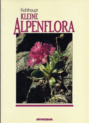 Kleine Alpenflora