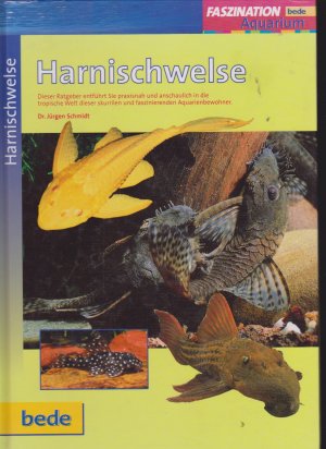 gebrauchtes Buch – Jürgen Schmidt – Faszination - Harnischwelse