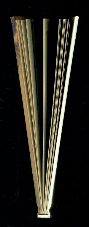 gebrauchtes Buch – Manfredi, Valerio – Petra und andere berühmte Totenstädte