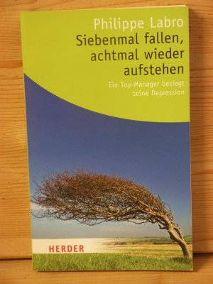 "siebenmal feiern, achtmal wieder aufstehen" ein top-manager besiegt seine depression