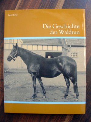 Die Geschichte der Waldrun