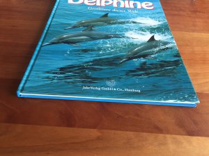 Delphine