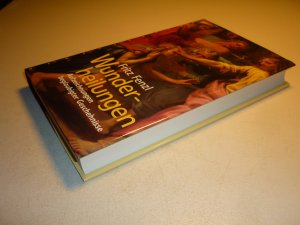 gebrauchtes Buch – Fritz Fenzl – Wunderheilungen - Aufzeichnungen beglaubigter Geschehnisse