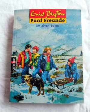 Fünf Freunde im alten Turm (Minibuch)