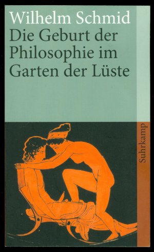 gebrauchtes Buch – Wilhelm Schmid – Die Geburt der Philosophie im Garten der Lüste - Michel Foucaults Archäologie des platonischen Eros