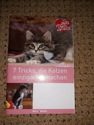 7 Tricks, die Katzen einzigartig machen